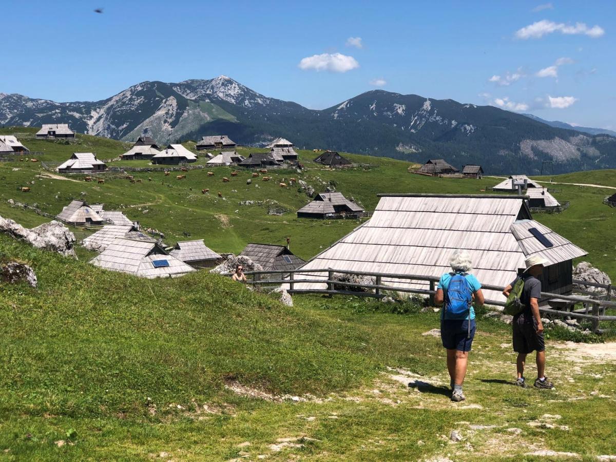 Kosutnik Velika Planina Chalet Kamniska Bistrica