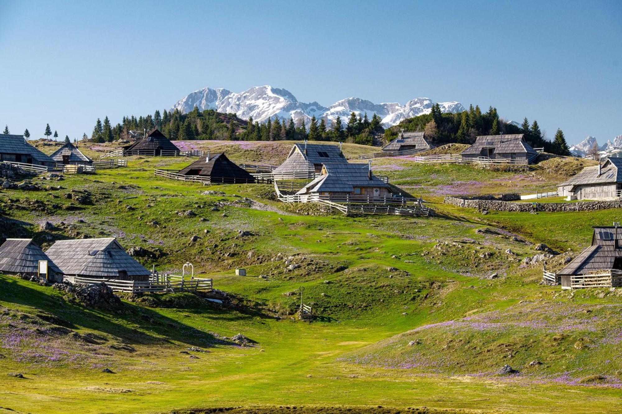 Chalet Kosutnik Velika Planina *