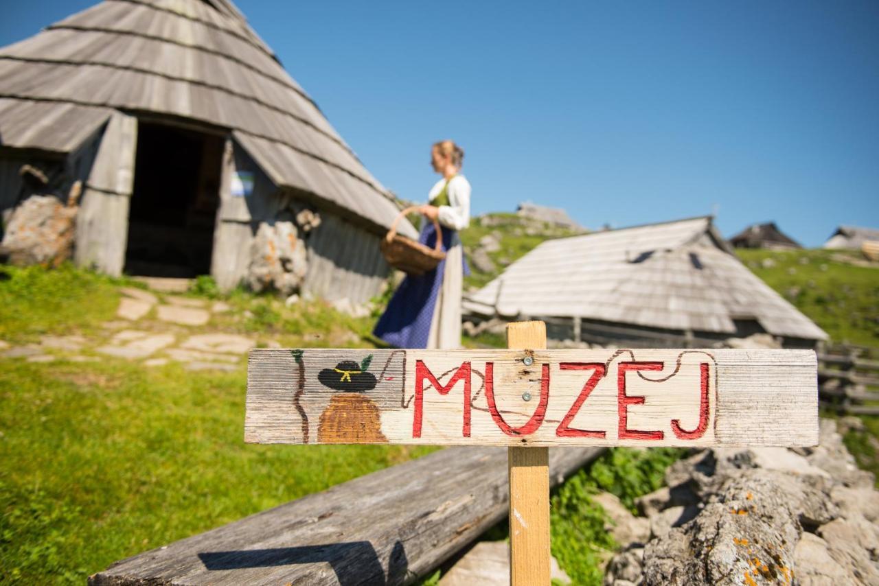 Kosutnik Velika Planina Kamniska Bistrica