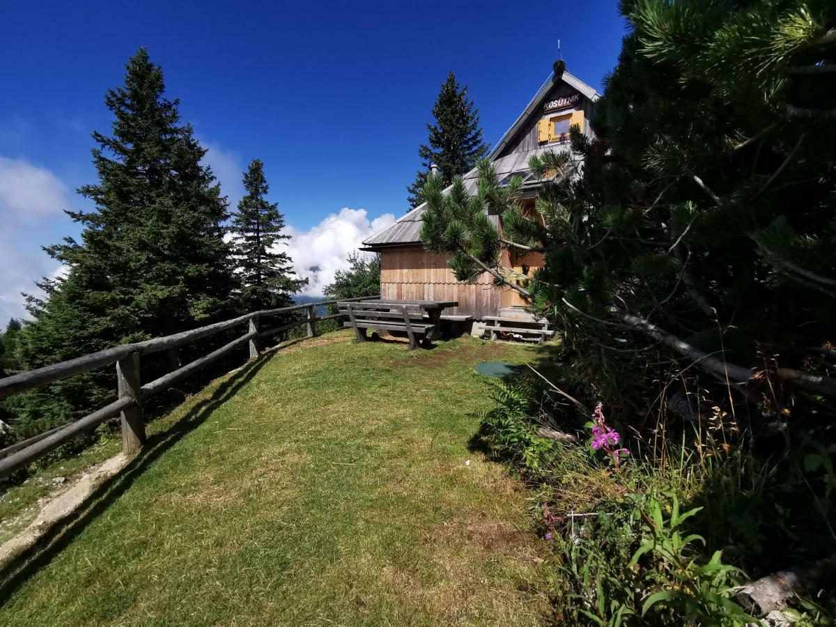 Kosutnik Velika Planina *